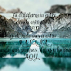 Meet your Posher, Abi